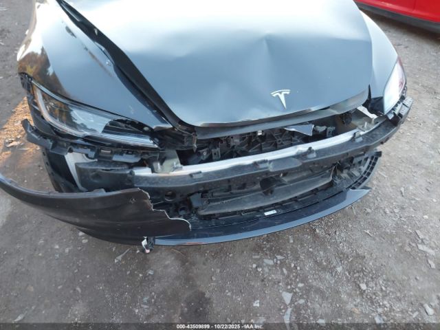2024 TESLA MODEL 3 5YJ3E1EA1RF835755 Photo 5