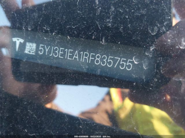 2024 TESLA MODEL 3 5YJ3E1EA1RF835755 Photo 8