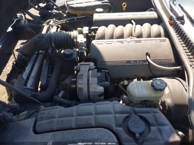 1999 CHEVROLET CORVETTE 1G1YY32G3X5102471 Photo 9