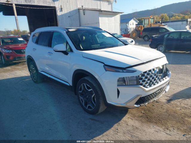 2023 HYUNDAI SANTA FE HYBRID 5NMS3DA13PH018601