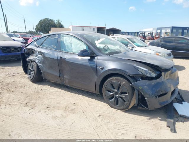 2025 TESLA MODEL Y 7SAYGDED3SA372602