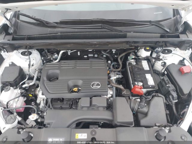 2025 LEXUS NX 250 2T2ADCAZ0SC030515 Photo 9