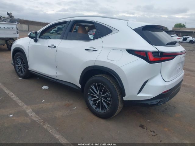 2025 LEXUS NX 250 2T2ADCAZ0SC030515 Photo 2