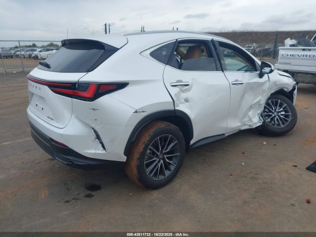 2025 LEXUS NX 250 2T2ADCAZ0SC030515 Photo 3