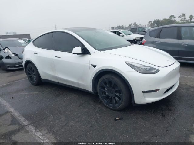 2021 TESLA MODEL Y 5YJYGDEEXMF074205