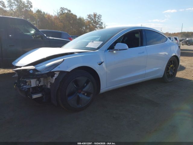 2019 TESLA MODEL 3 5YJ3E1EB3KF442340 Photo 1