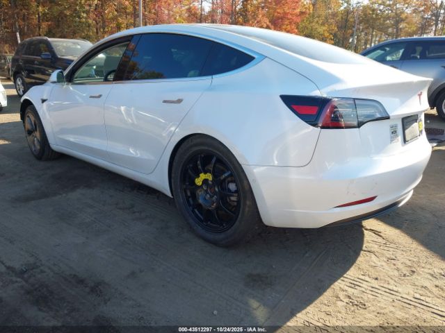 2019 TESLA MODEL 3 5YJ3E1EB3KF442340 Photo 2