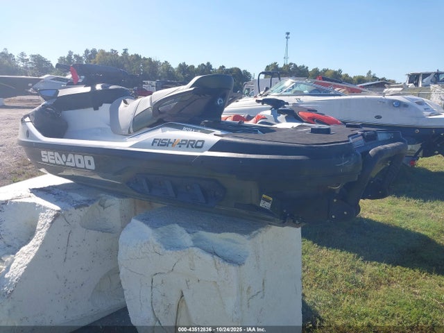 Seadoo 18kc 2019 YDV25066E919 Image 3