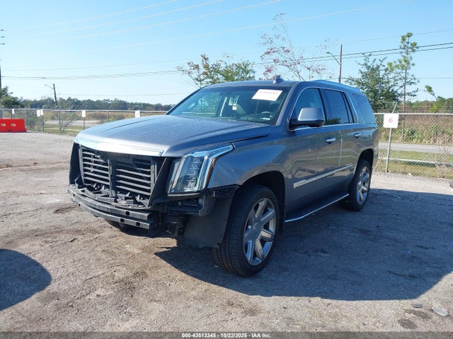 2019 CADILLAC ESCALADE 1GYS4BKJ6KR225336 Photo 1