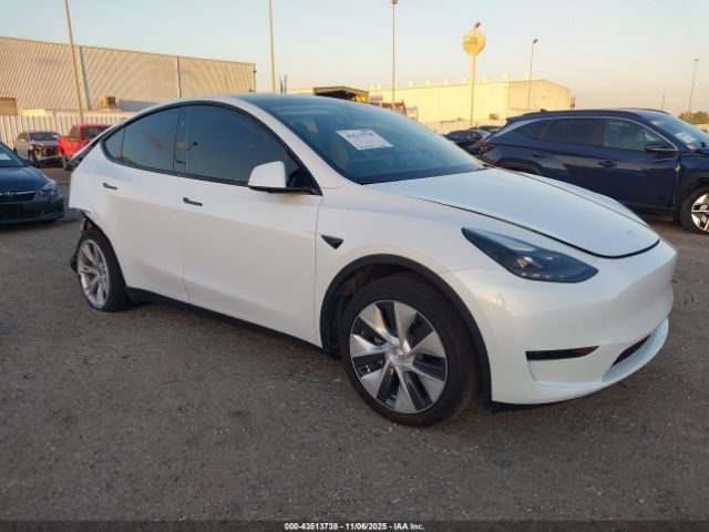 2024 TESLA MODEL Y 7SAYGDED1RF057035 Photo 0