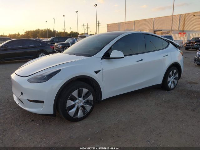 2024 TESLA MODEL Y 7SAYGDED1RF057035 Photo 1