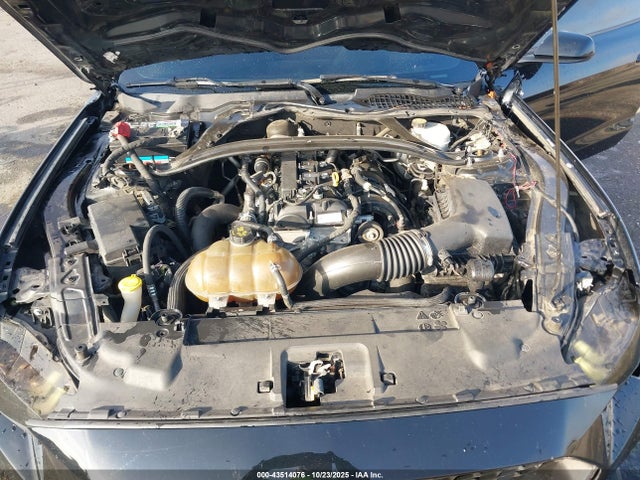 43514076 :رقم المزاد ، 1FA6P8TH4K5106274 vin ، 2019 Ford Mustang Ecoboost مزاد بيع