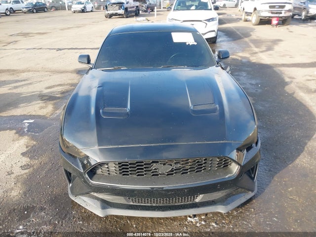43514076 :رقم المزاد ، 1FA6P8TH4K5106274 vin ، 2019 Ford Mustang Ecoboost مزاد بيع