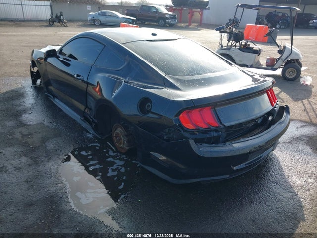 43514076 :رقم المزاد ، 1FA6P8TH4K5106274 vin ، 2019 Ford Mustang Ecoboost مزاد بيع