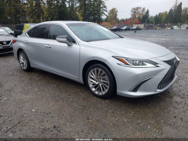 2019 LEXUS ES 300H JTHB21B13K2027326