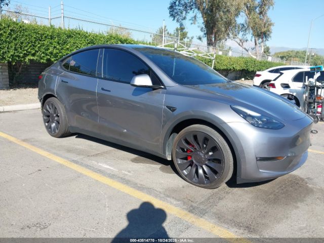 2025 TESLA MODEL Y 7SAYGDEF5SF272814 Photo 0