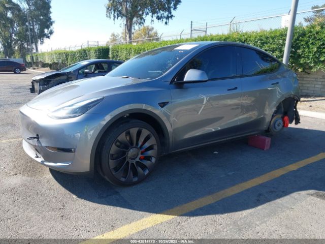 2025 TESLA MODEL Y 7SAYGDEF5SF272814 Photo 1