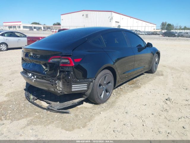 2023 TESLA MODEL 3 5YJ3E1EA4PF646286 Photo 3