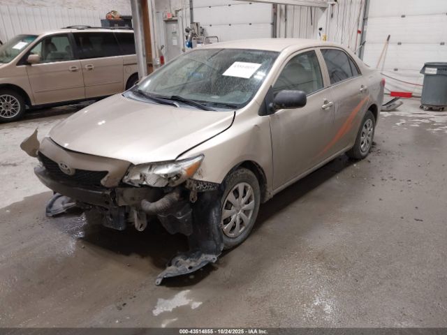 2010 TOYOTA COROLLA 1NXBU4EE4AZ177875 Photo 1