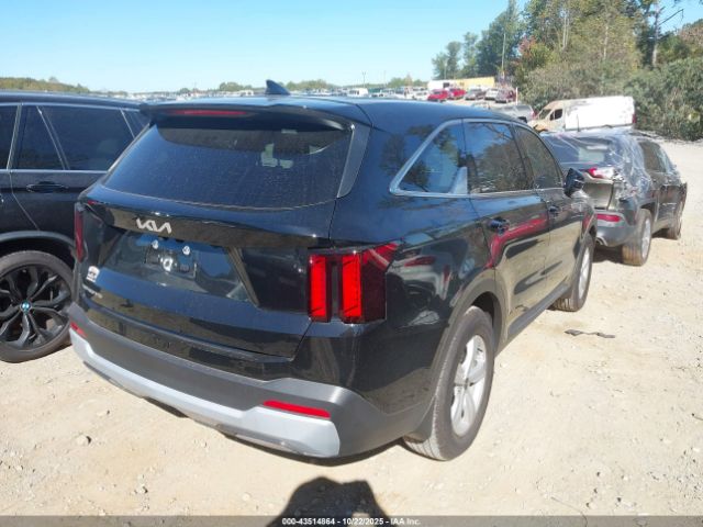 2025 KIA SORENTO 5XYRG4JC5SG359313 Photo 3