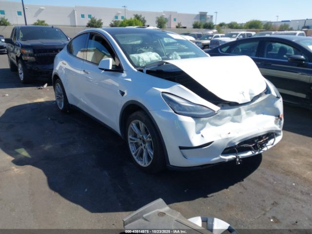 2020 TESLA MODEL Y 5YJYGDEE2LF015390 Photo 0