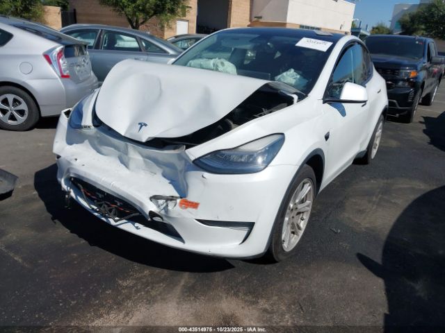 2020 TESLA MODEL Y 5YJYGDEE2LF015390 Photo 1