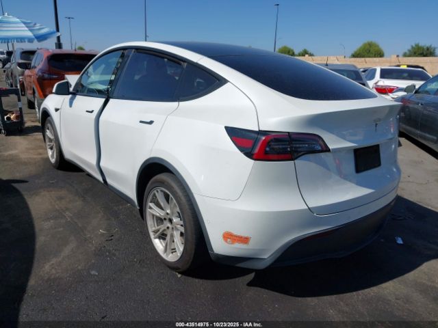 2020 TESLA MODEL Y 5YJYGDEE2LF015390 Photo 2