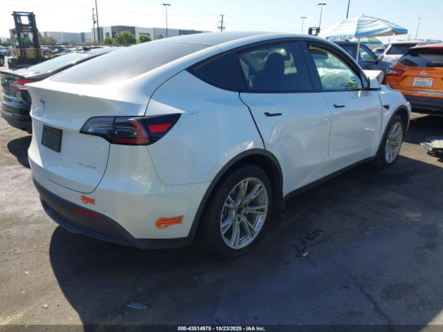 2020 TESLA MODEL Y 5YJYGDEE2LF015390 Photo 3