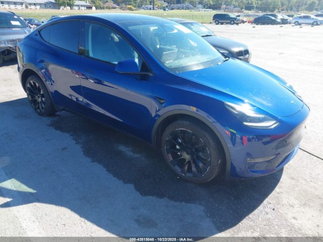 2023 TESLA MODEL Y 7SAYGDEE6PA162351
