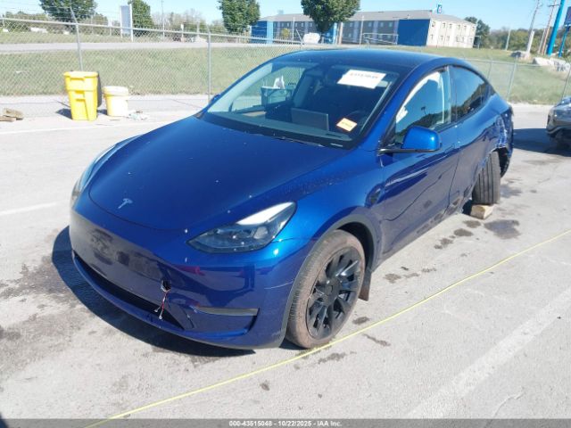 2023 TESLA MODEL Y 7SAYGDEE6PA162351 Photo 1