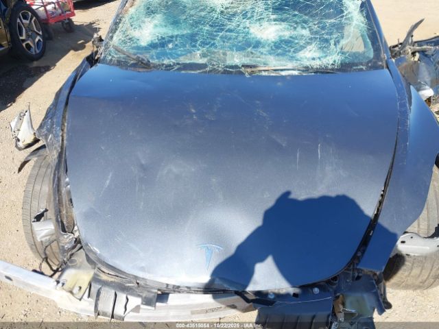 2023 TESLA MODEL 3 5YJ3E1EA6PF560784 Photo 9