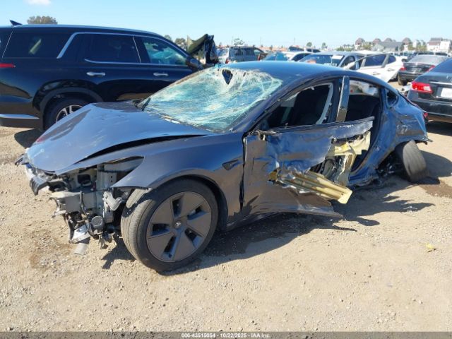 2023 TESLA MODEL 3 5YJ3E1EA6PF560784 Photo 1
