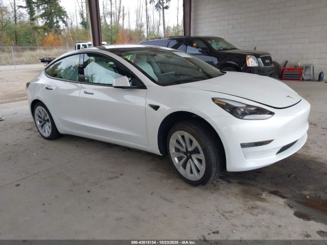 2023 TESLA MODEL 3 5YJ3E1EA7PF409310 Photo 0