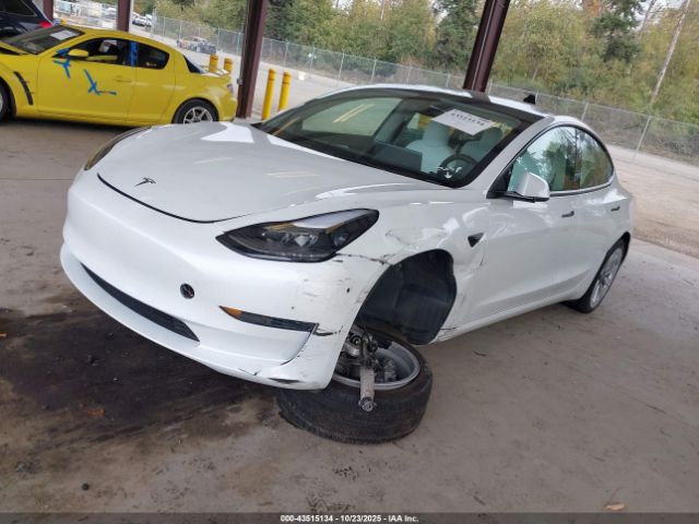 2023 TESLA MODEL 3 5YJ3E1EA7PF409310 Photo 1