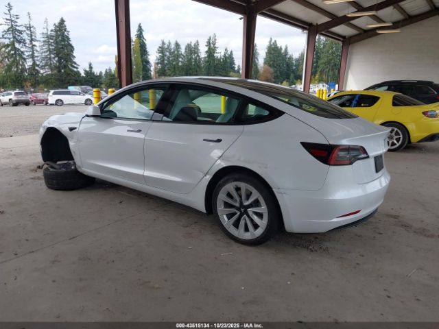 2023 TESLA MODEL 3 5YJ3E1EA7PF409310 Photo 2