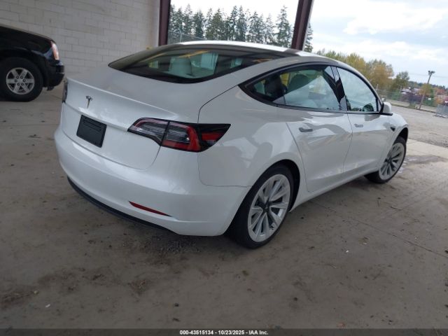 2023 TESLA MODEL 3 5YJ3E1EA7PF409310 Photo 3
