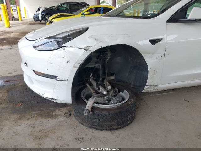 2023 TESLA MODEL 3 5YJ3E1EA7PF409310 Photo 5