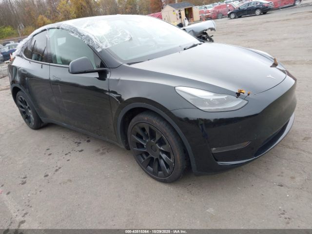 2023 TESLA MODEL Y 7SAYGDEE0PF792255 Photo 0