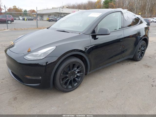 2023 TESLA MODEL Y 7SAYGDEE0PF792255 Photo 1