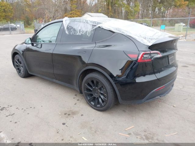 2023 TESLA MODEL Y 7SAYGDEE0PF792255 Photo 2