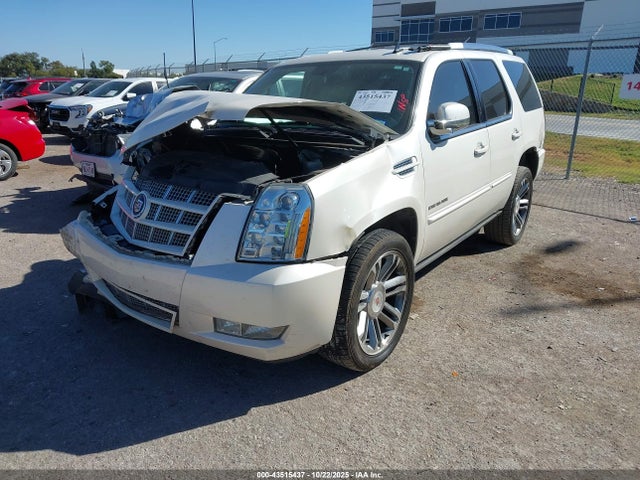 2013 CADILLAC ESCALADE 1GYS3CEF8DR147550 Photo 1