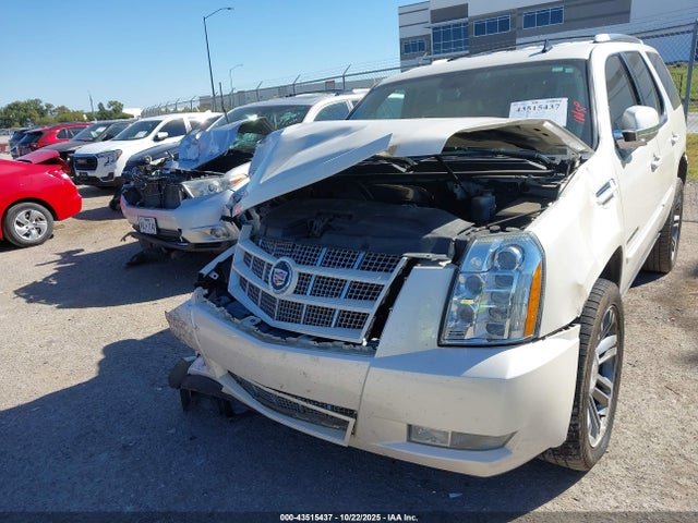 2013 CADILLAC ESCALADE 1GYS3CEF8DR147550 Photo 5
