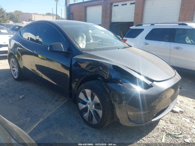 2024 TESLA MODEL Y 7SAYGDED0RF005489