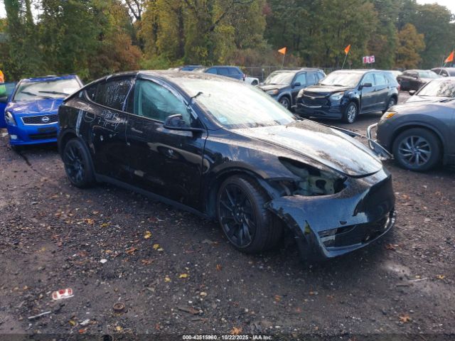 2023 TESLA MODEL Y 7SAYGAEE1PF914992 Photo 0