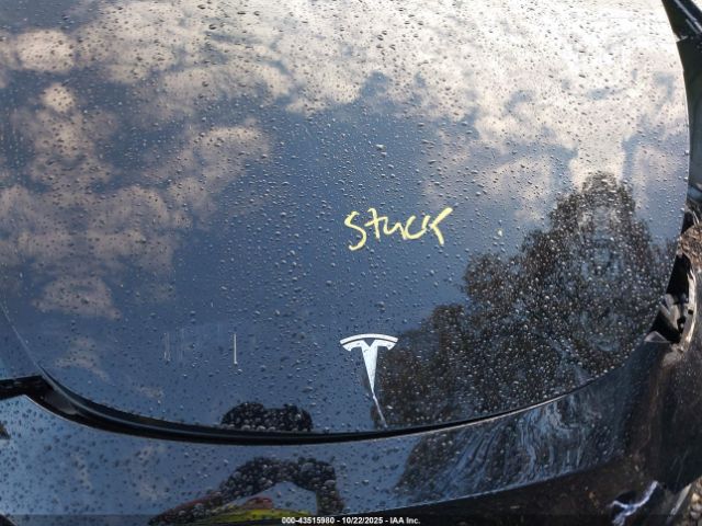 2023 TESLA MODEL Y 7SAYGAEE1PF914992 Photo 9