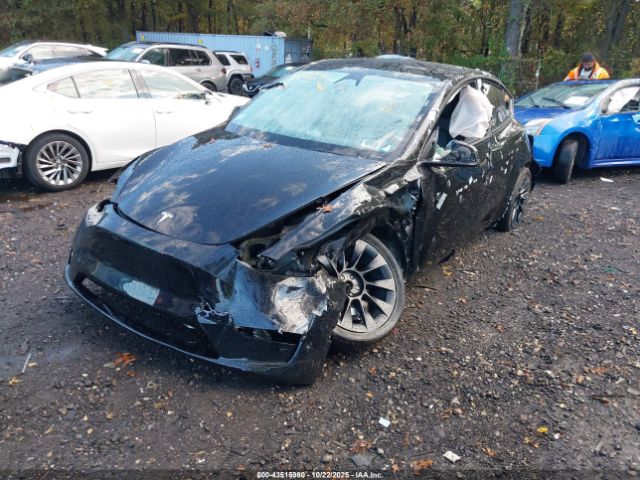 2023 TESLA MODEL Y 7SAYGAEE1PF914992 Photo 1