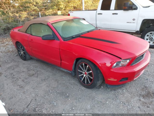 2010 FORD MUSTANG 1ZVBP8EN7A5163396