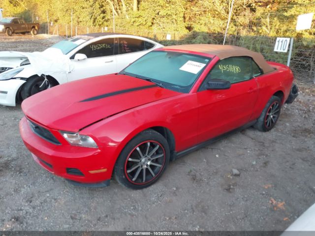 2010 FORD MUSTANG 1ZVBP8EN7A5163396 Photo 1
