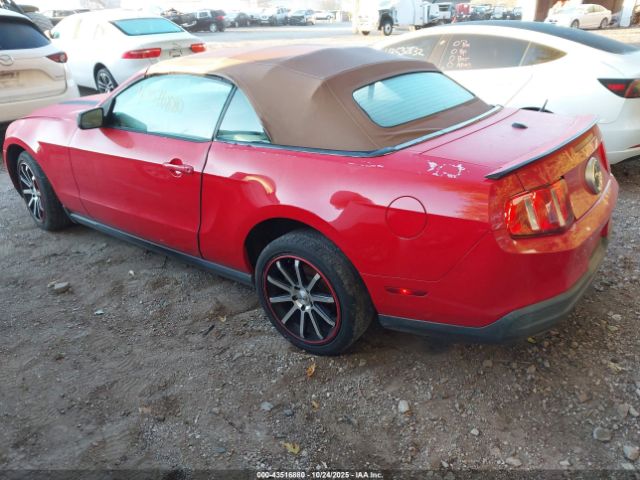 2010 FORD MUSTANG 1ZVBP8EN7A5163396 Photo 2