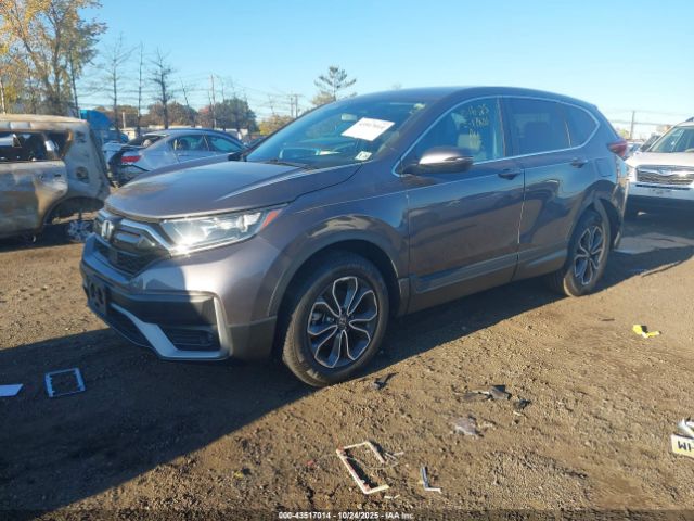 2021 HONDA CR-V 2HKRW2H88MH651218 Photo 1